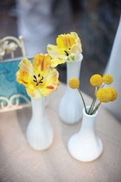 yellow in white vases.jpeg